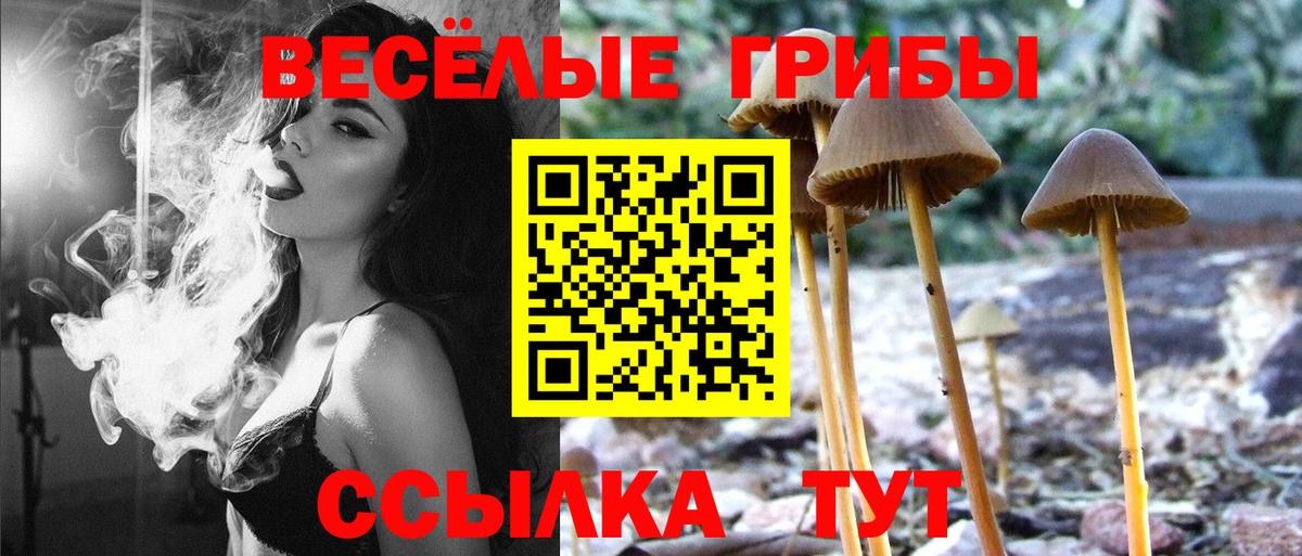 Галлюциногенные грибы GOLDEN TEACHER Тайшет
