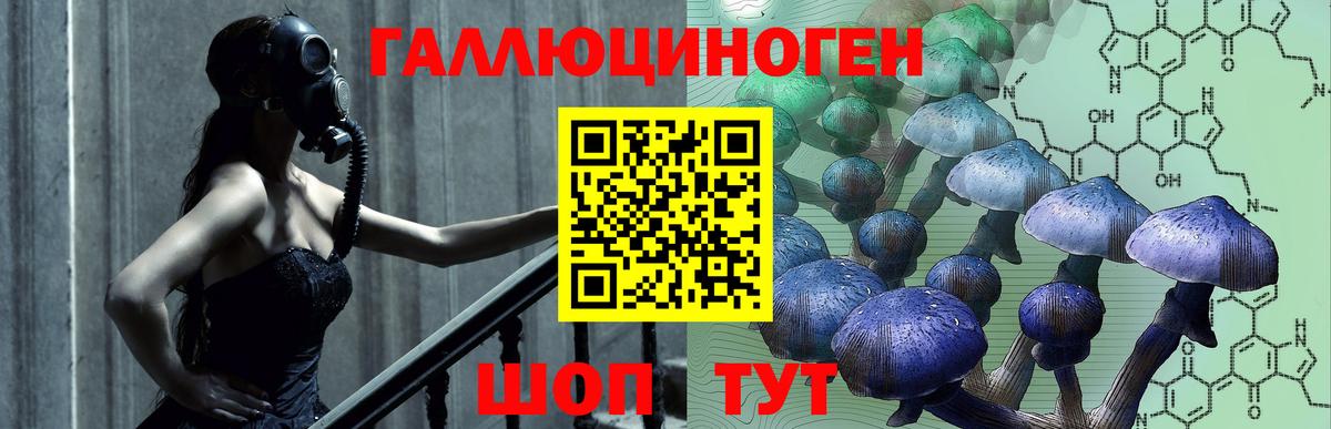 Псилоцибиновые грибы мицелий  Вход с VPN  Тайшет 